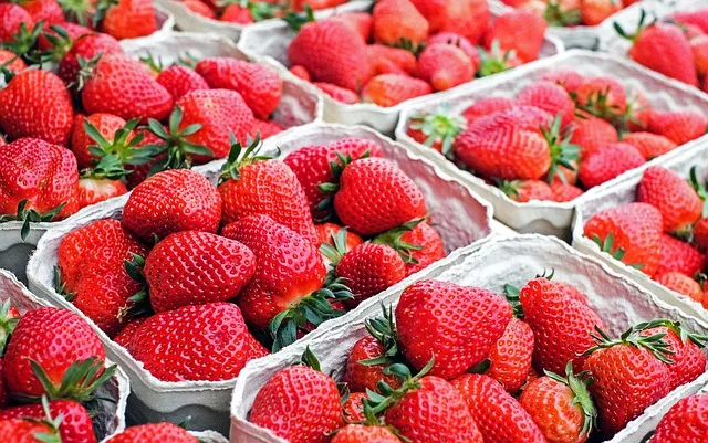 Owoce jagodowe wystawione do sprzedaży bezpośredniej u producenta